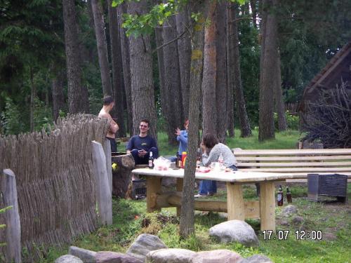 KONICA MINOLTA DIGITAL CAMERA