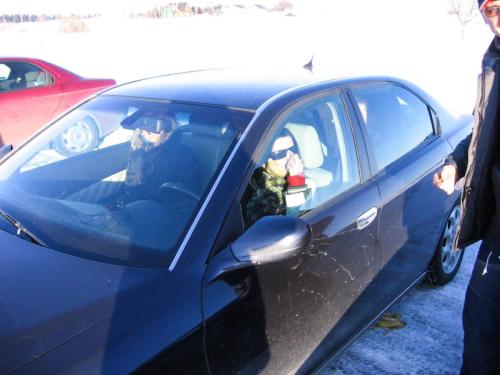 e752c5 a8e17dd1629948e2a75e68a35977f81fmv2 d 1600 1200 s 2