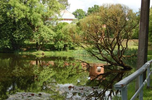 e752c5 462212dcc8744e139ee8573ff11a5ba9mv2 d 2256 1496 s 2