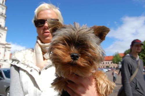 e752c5 594b305046d64611bdb98614a529e6d5mv2 d 2256 1496 s 2