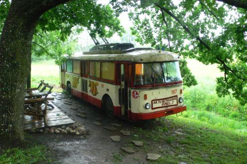 e752c5 84e0911177fb42dfa62542ada421f7c7mv2 d 3248 2160 s 2