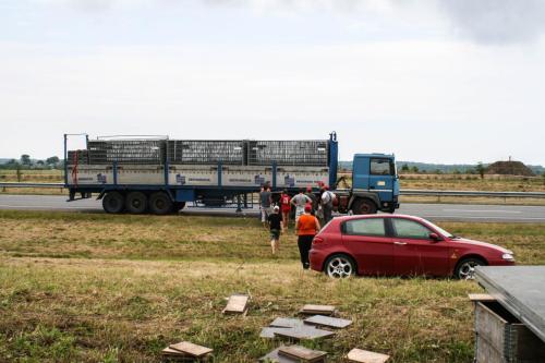 e752c5 333188b7e67847a097c41186ffd9c652mv2 d 3888 2592 s 4 2