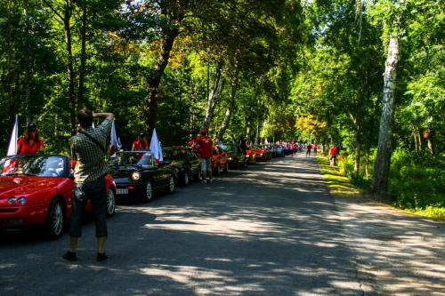 e752c5 ea767ad0f7b94c7fa1075492f22565b0mv2 d 3888 2592 s 4 2