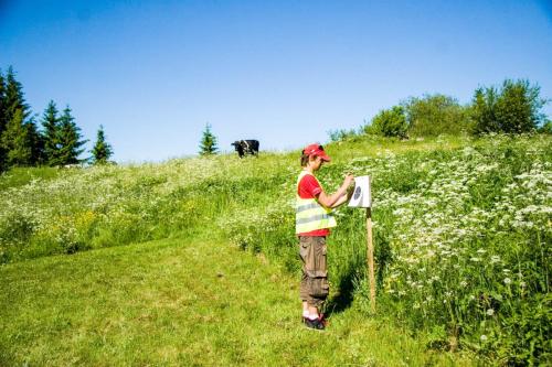 e752c5 1efed8b98d80404b87424483c352b2dbmv2 d 3504 2336 s 2