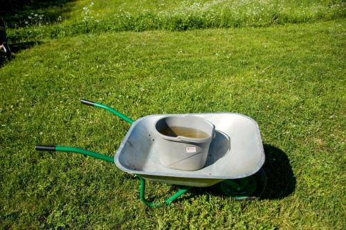 e752c5 2316702a096849ceb2013f677a0cc8femv2 d 3504 2336 s 2