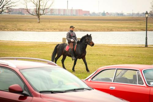 e752c5 29726845b1644aa2a5cb11acd9d3ceb3mv2 d 3888 2592 s 4 2