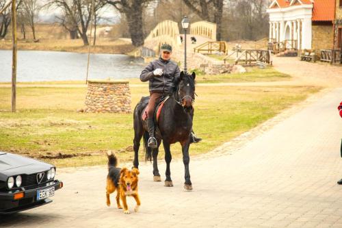 e752c5 5f20e1bfbd564b96b196b9161562e254mv2 d 3888 2592 s 4 2