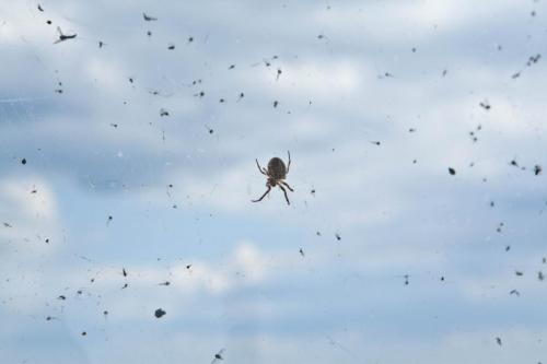 e752c5 29d4f8931fb647ab824e6f231adfac27mv2 d 5616 3744 s 4 2