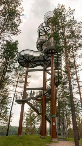 71248556 10160053303486959 6788967002770767872 n