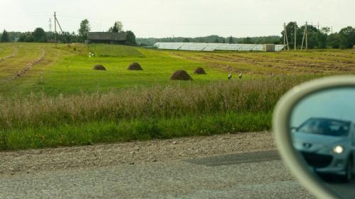 71575821 10160053302571959 5522183518555209728 n