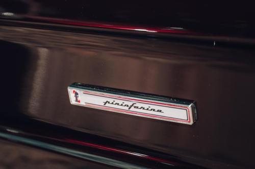 500037075 1266373252162445 1011743011054806390 n