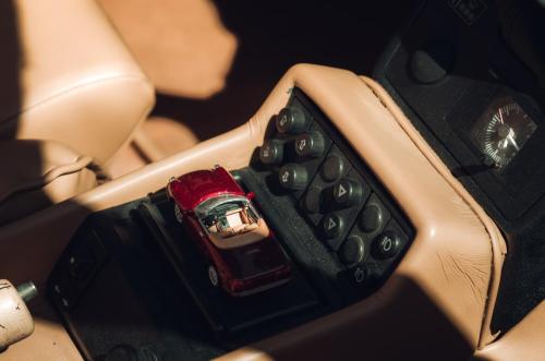 500042969 1266376362162134 8760743082613199548 n